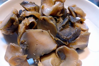 s-P1000385L.jpg