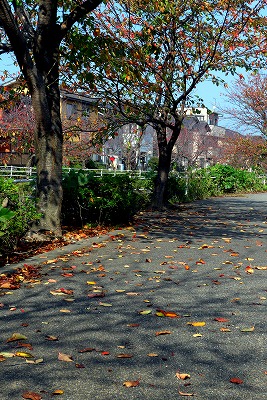 s-P1000507L.jpg