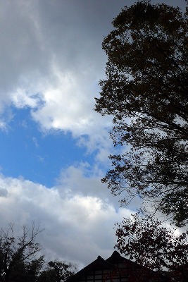 s-P1000695L.jpg
