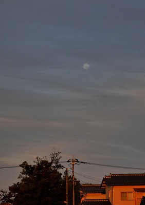 s-P1000747b.jpg