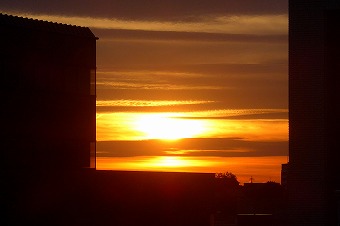 s-P1000792L.jpg