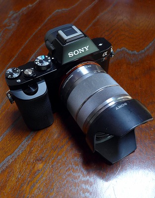 s-P1000805L.jpg