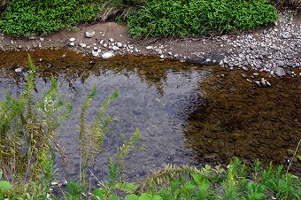 s-P1000839b.jpg