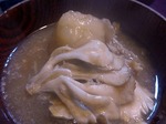 s-P1000996L.jpg