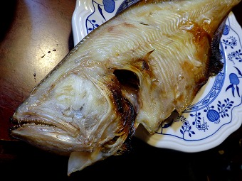 s-P1010050L.jpg