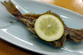 s-P1010341l.jpg