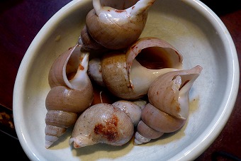 s-P1010434l.jpg