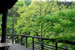 s-P1010567l.jpg