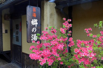 s-P1010578l.jpg
