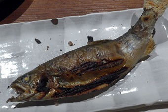 s-P1010598l.jpg