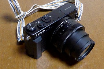 s-P1010691l.jpg