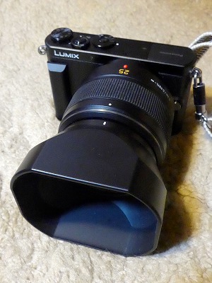 s-P1010697l.jpg