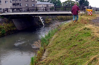 s-P1010791l.jpg