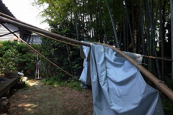 s-P1010920l.jpg
