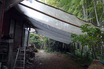 s-P1010929l.jpg