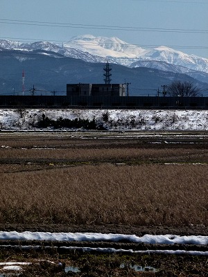 s-P1030761b.jpg