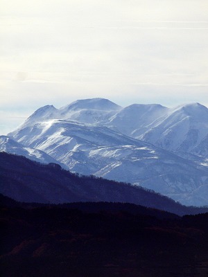 s-P1060665b.jpg
