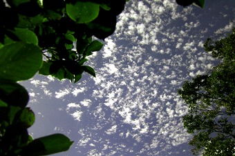 s-P1060897b.jpg