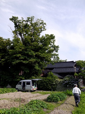 s-P1070380b.jpg