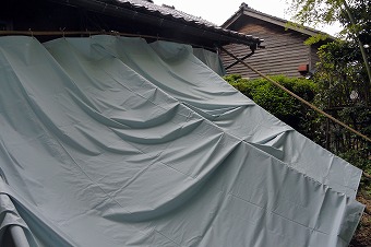 s-P1070388b.jpg