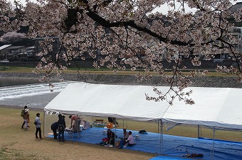 s-P4133156b.jpg