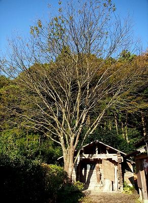 s-PA142804b.jpg