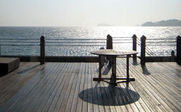s1016IMG_0041y.jpg