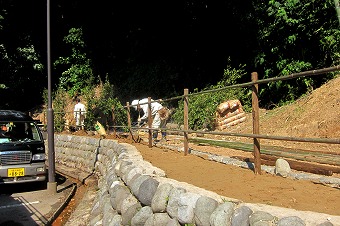 s-IMG_1868p.jpg